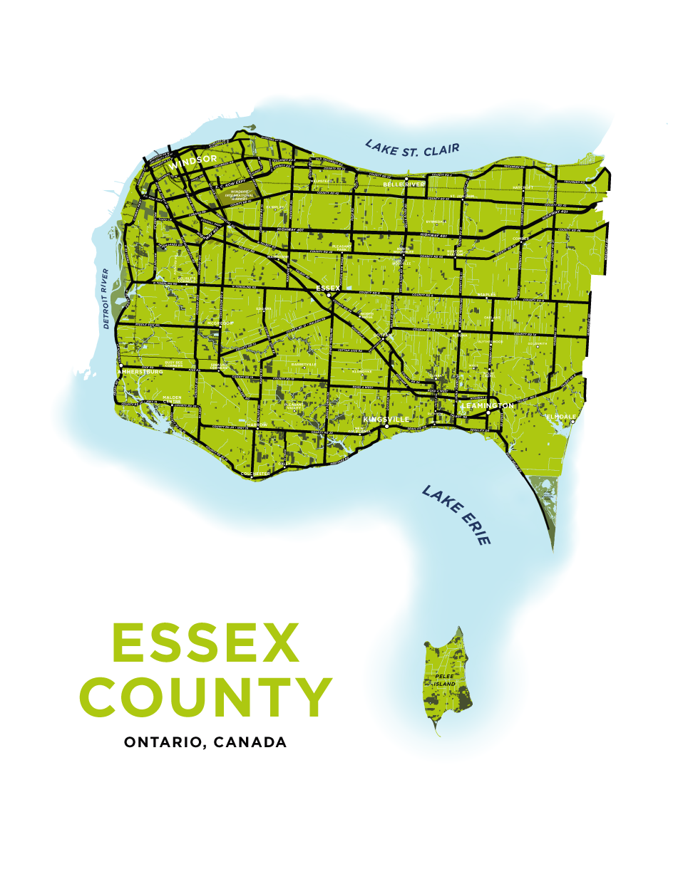 Essex County Map Essex County Map Divided Districts Labels Stock