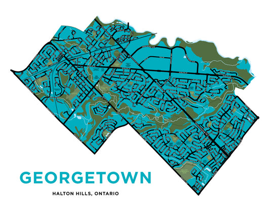 Georgetown Map Print