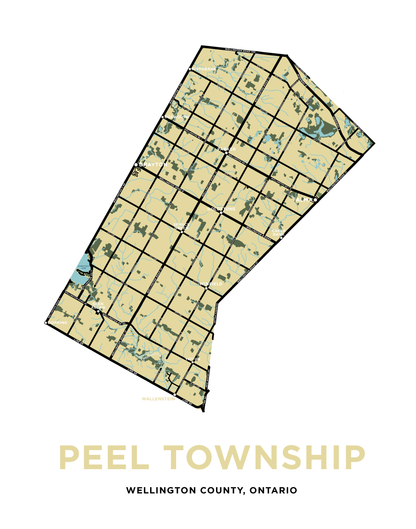 Peel Township Map Print